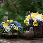 La Roseraie Bed & Breakfast Tournai