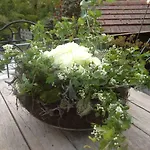 Bed & Breakfast La Roseraie Tournai