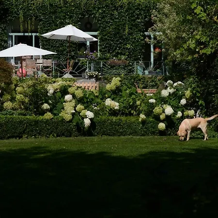 La Roseraie 5* Tournai