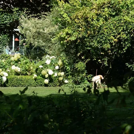 La Roseraie Bed & Breakfast Tournai