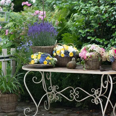 La Roseraie Bed & Breakfast Tournai