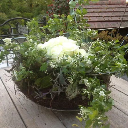 Bed & Breakfast La Roseraie Tournai