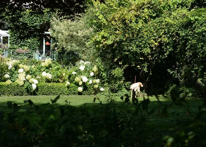 La Roseraie Bed and Breakfast Tournai