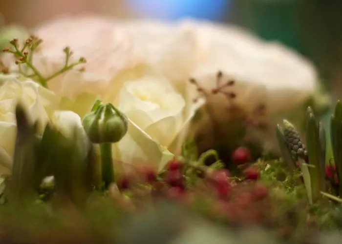 La Roseraie Bed and Breakfast 5*