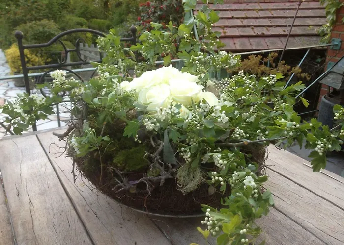 Bed and Breakfast La Roseraie Tournai